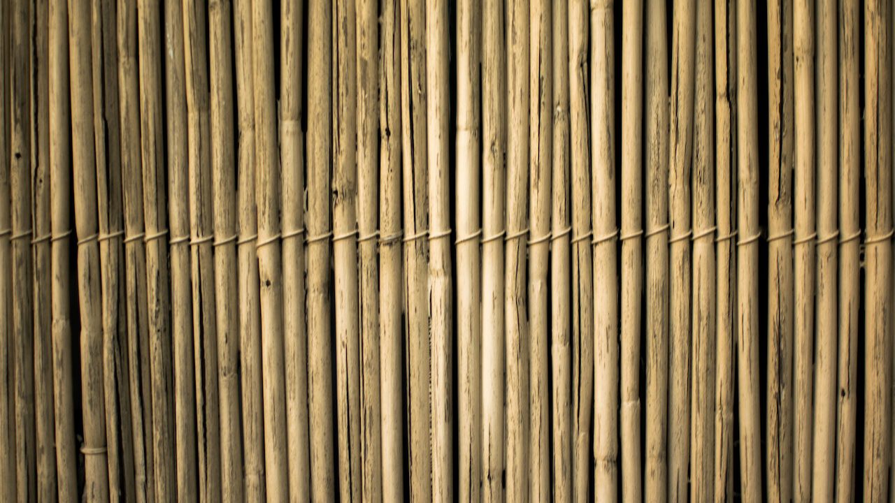 bamboestokken